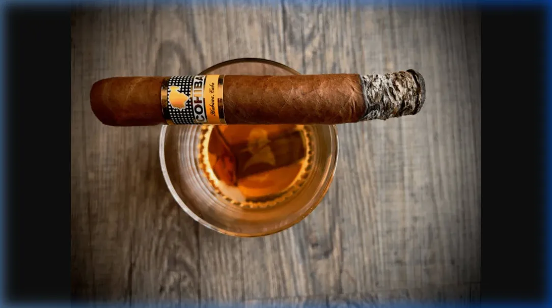 Review Cohiba Siglo VI