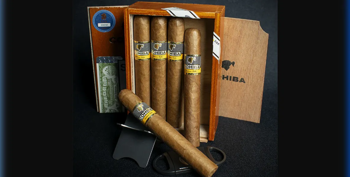 Capa do artigo: Review Cohiba Robusto: Como saber se o seu charuto é original? (Guia 2026)