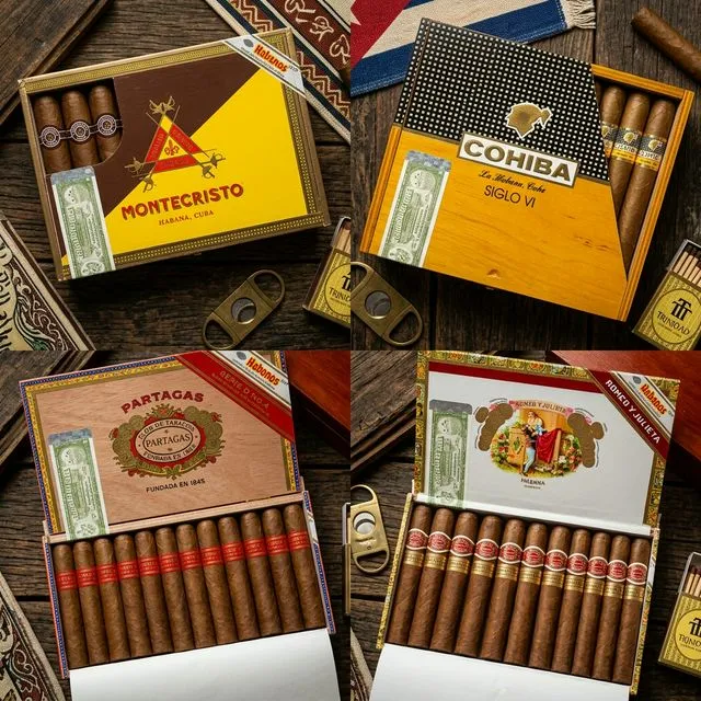 Ilustração Smokelog