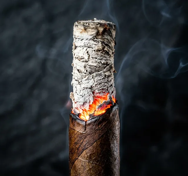 Capa do artigo: A Sinfonia do Tabaco: Explorando a Beleza da Capa do Charuto
